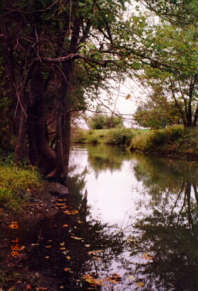 THEWATER.JPG - 49172 Bytes