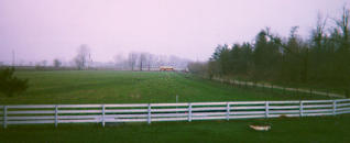 bus.jpg - 7342 Bytes