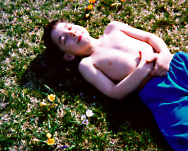 crocusnoah.jpg - 34682 Bytes
