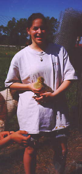 jennyduck.jpg - 17213 Bytes