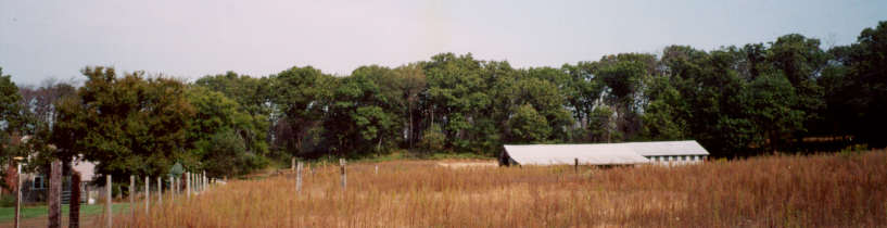 panofrommeadow.jpg - 26638 Bytes