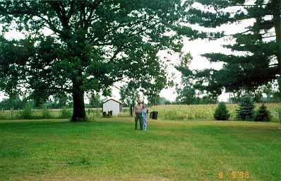 treeus.jpg - 31032 Bytes