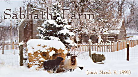 winter2000title.jpg - 30004 Bytes